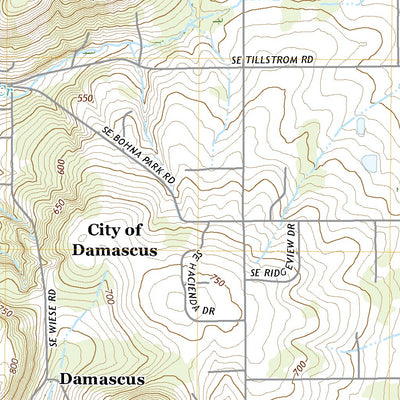 United States Geological Survey Damascus, OR (2020, 24000-Scale) digital map