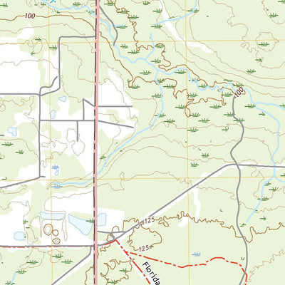 United States Geological Survey Deep Creek, FL (2021, 24000-Scale) digital map