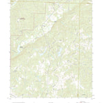 United States Geological Survey Delta, AL (2021, 24000-Scale) digital map
