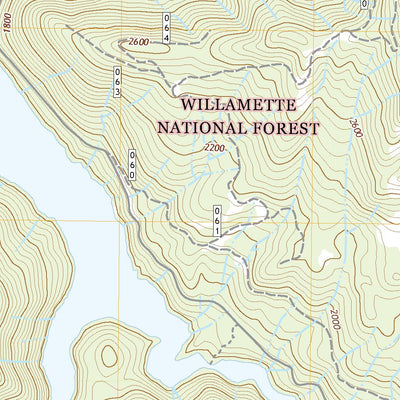 United States Geological Survey Detroit, OR (2020, 24000-Scale) digital map