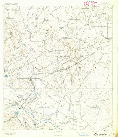 United States Geological Survey Dunnellon, FL (1892, 62500-Scale) digital map