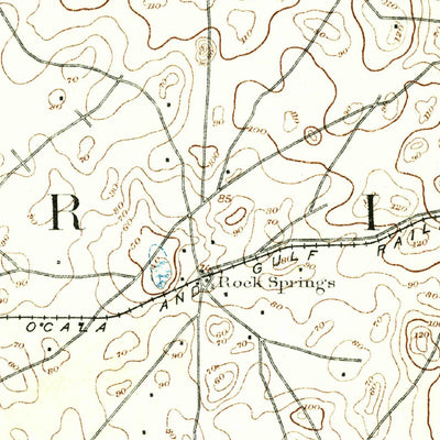 United States Geological Survey Dunnellon, FL (1892, 62500-Scale) digital map