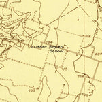 United States Geological Survey Eagle Springs, TX (1924, 48000-Scale) digital map
