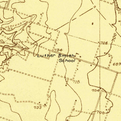 United States Geological Survey Eagle Springs, TX (1924, 48000-Scale) digital map
