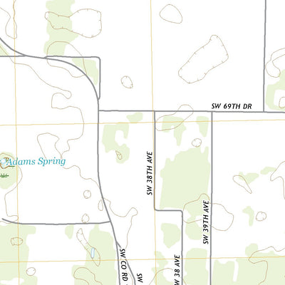 United States Geological Survey Ellaville, FL (2021, 24000-Scale) digital map