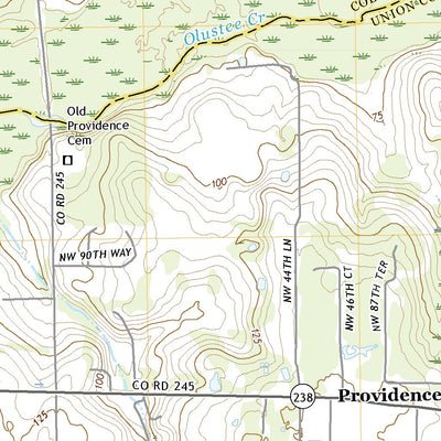 United States Geological Survey Ellisville, FL (2021, 24000-Scale) digital map