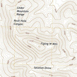 United States Geological Survey Flying W Mountain, NM (2020, 24000-Scale) digital map