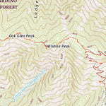 United States Geological Survey Forest Falls, CA (2021, 24000-Scale) digital map
