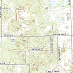 United States Geological Survey Fort White, FL (2021, 24000-Scale) digital map