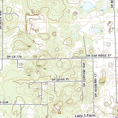 United States Geological Survey Fort White, FL (2021, 24000-Scale) digital map