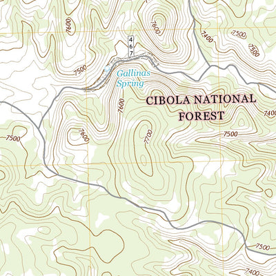 United States Geological Survey Gallinas Peak, NM (2020, 24000-Scale) digital map