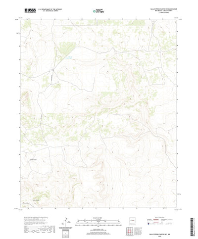 United States Geological Survey Gallo Spring Canyon NE, NM (2020, 24000-Scale) digital map