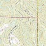 United States Geological Survey Grisdale, WA (2020, 24000-Scale) digital map