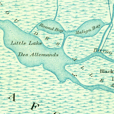 United States Geological Survey Hahnville, LA (1891, 62500-Scale) digital map