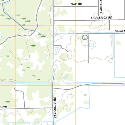 United States Geological Survey Hog Cypress, FL (2021, 24000-Scale) digital map