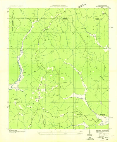 United States Geological Survey Hytop, AL-TN (1936, 24000-Scale) digital map