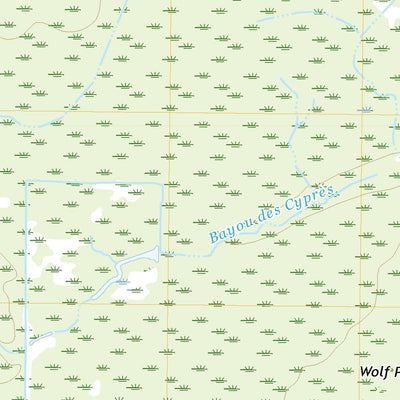 United States Geological Survey Ile Natchitoches, LA (2020, 24000-Scale) digital map