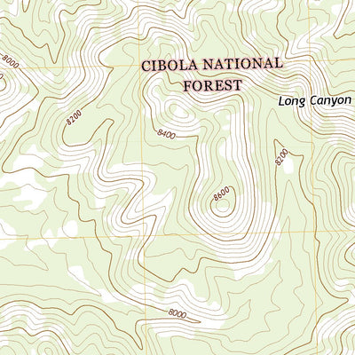 United States Geological Survey Indian Mesa, NM (2020, 24000-Scale) digital map