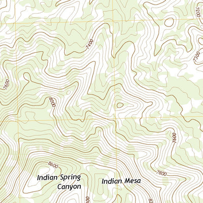 United States Geological Survey Indian Mesa, NM (2020, 24000-Scale) digital map