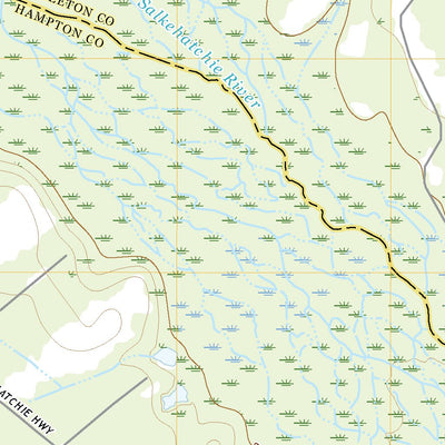 United States Geological Survey Islandton, SC (2020, 24000-Scale) digital map