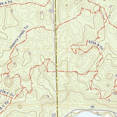 United States Geological Survey Lake Delancy, FL (2021, 24000-Scale) digital map