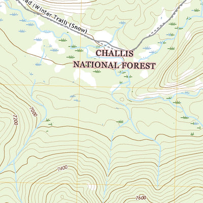 United States Geological Survey Langer Peak, ID (2020, 24000-Scale) digital map