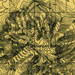 United States Geological Survey Lebanon, OR (1911, 31680-Scale) digital map