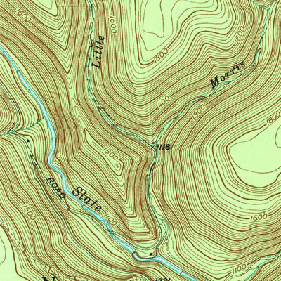 United States Geological Survey Lee Fire Tower, PA (1947, 24000-Scale) digital map