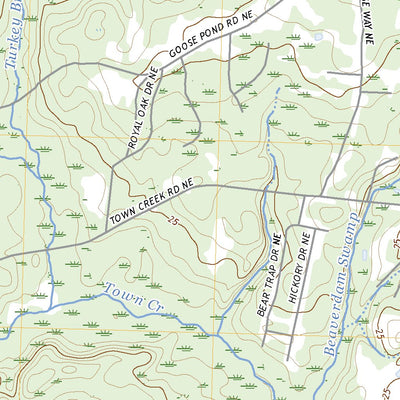 United States Geological Survey Lewis Swamp, NC (2022, 24000-Scale) digital map