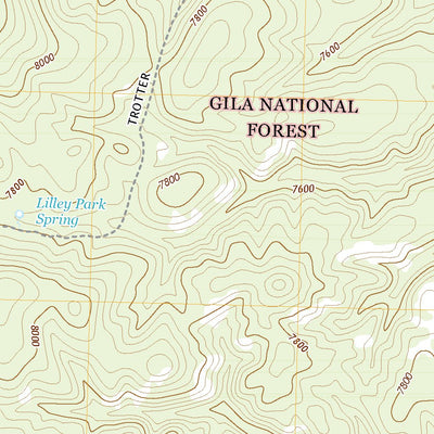 United States Geological Survey Lilley Mountain, NM (2020, 24000-Scale) digital map