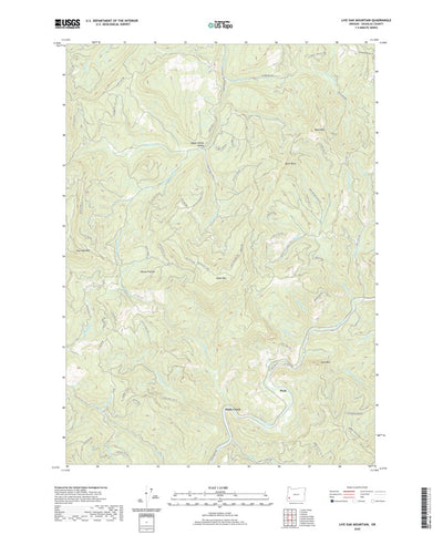 United States Geological Survey Live Oak Mountain, OR (2020, 24000-Scale) digital map