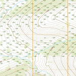 United States Geological Survey Livengood A-1 NE, AK (2021, 25000-Scale) digital map