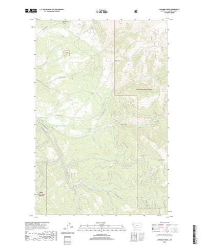 United States Geological Survey Loneman Creek, MT (2020, 24000-Scale) digital map