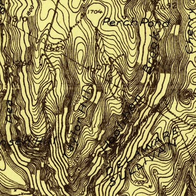 United States Geological Survey Long Eddy, NY-PA (1921, 48000-Scale) digital map