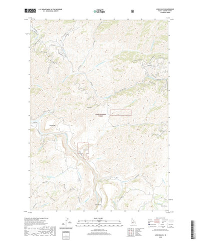United States Geological Survey Long Gulch, ID (2020, 24000-Scale) digital map