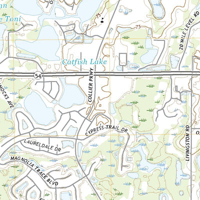 United States Geological Survey Lutz, FL (2021, 24000-Scale) digital map