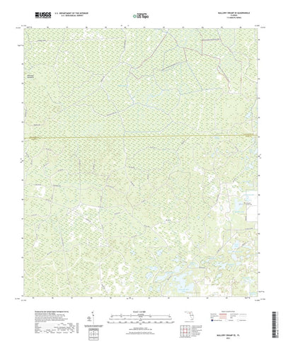 United States Geological Survey Mallory Swamp SE, FL (2021, 24000-Scale) digital map
