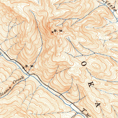 United States Geological Survey Methow, WA (1899, 125000-Scale) digital map