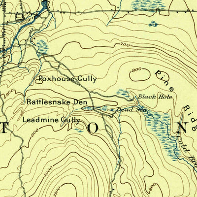 United States Geological Survey Mooers, NY (1895, 62500-Scale) digital map