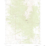 United States Geological Survey Mount Ardivey, NV (2021, 24000-Scale) digital map