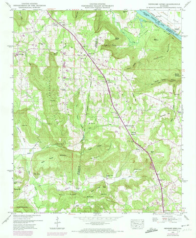United States Geological Survey Newsome Sinks, AL (1947, 24000-Scale) digital map