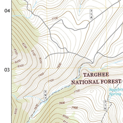 United States Geological Survey Nicholia, ID (2020, 24000-Scale) digital map