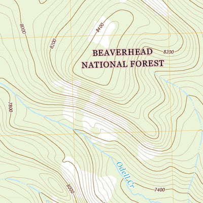 United States Geological Survey Odell Lake, MT (2020, 24000-Scale) digital map