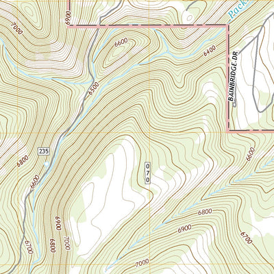 United States Geological Survey Packsaddle Lake, ID (2020, 24000-Scale) digital map