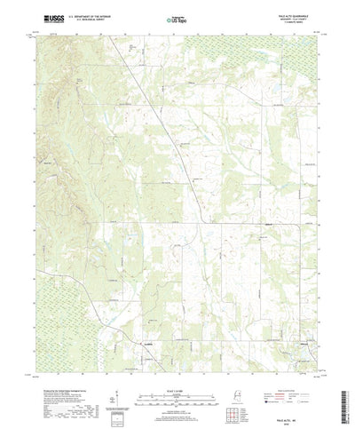 United States Geological Survey Palo Alto, MS (2020, 24000-Scale) digital map