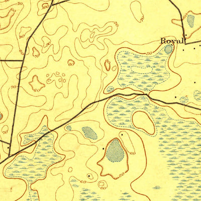 United States Geological Survey Panasoffkee, FL (1895, 62500-Scale) digital map