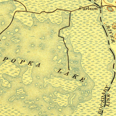 United States Geological Survey Panasoffkee, FL (1895, 62500-Scale) digital map