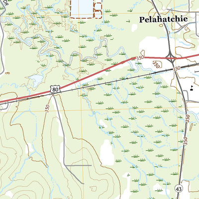 United States Geological Survey Pelahatchie, MS (2020, 24000-Scale) digital map
