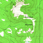United States Geological Survey Petersburg D-5, AK (1948, 63360-Scale) digital map