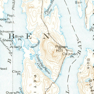 United States Geological Survey Petit Manan, ME (1904, 62500-Scale) digital map